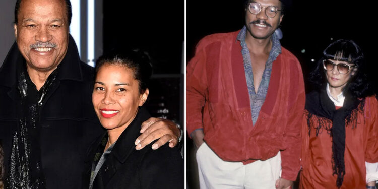 Who Is Teruko Nakagami? The Full Story of Billy Dee Williams' Wife