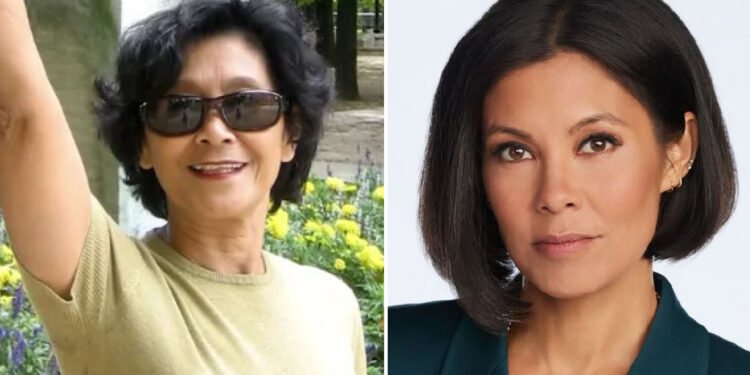 Who Is Tin Swe Thant, Alex Wagner’s Mother? Her True Life Story Will Surprise You