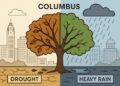 How Changing Weather Patterns in Columbus, OH, Affect Tree Health and Safety