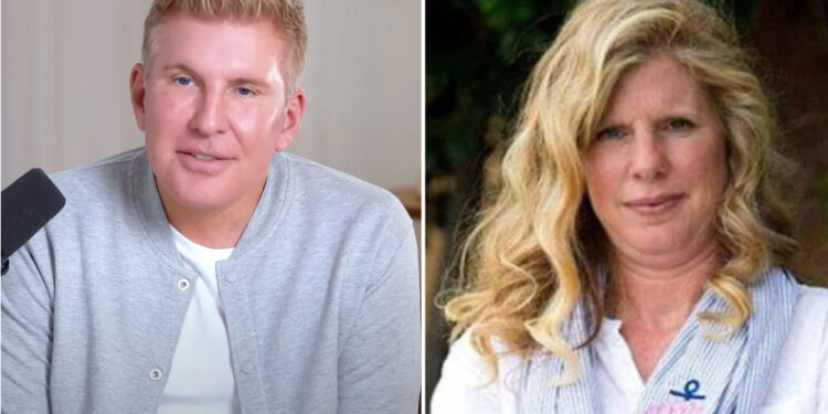 Teresa Terry: The Hidden Past of Todd Chrisley’s Ex-Wife