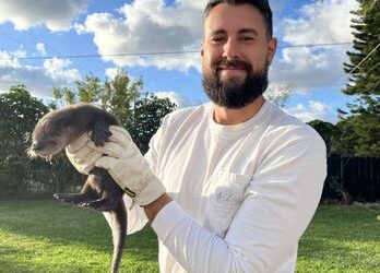 Palm Beach Wildlife Services: Where Animals and Residents Coexist