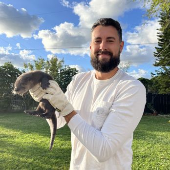 Palm Beach Wildlife Services: Where Animals and Residents Coexist