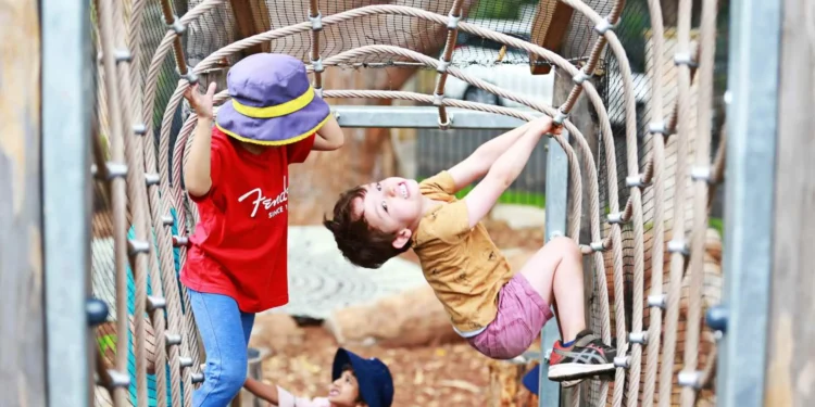 Nature Play and Risk-Taking: A Trend in Early Childhood Education in Queensland You Should Know