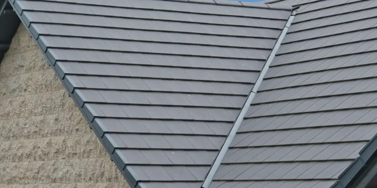 Why Rest Nest Roofing Is the Last Roofer You’ll Ever Need