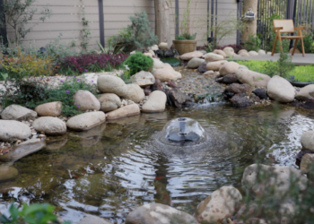 Bring Your Garden Pond to Life with a Fountain Pump and Pond Filter Pump