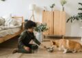 Teaching Kids How to Care for a Family Pet