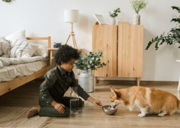 Teaching Kids How to Care for a Family Pet