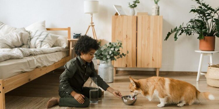 Teaching Kids How to Care for a Family Pet