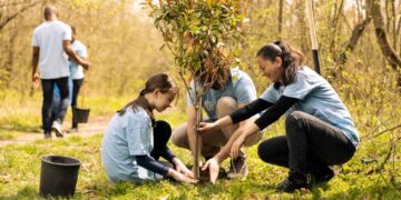 How Tree Care Shapes Safer and Healthier Communities in Northern Virginia