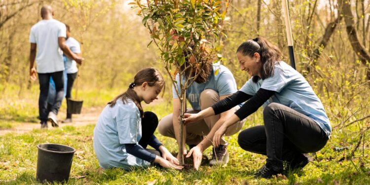 How Tree Care Shapes Safer and Healthier Communities in Northern Virginia