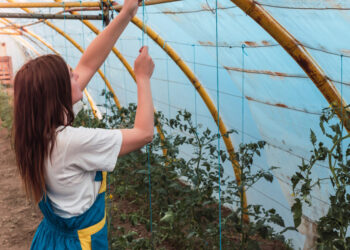 Top 5 Polycarbonate Clear Plastic Sheet Outdoor Uses