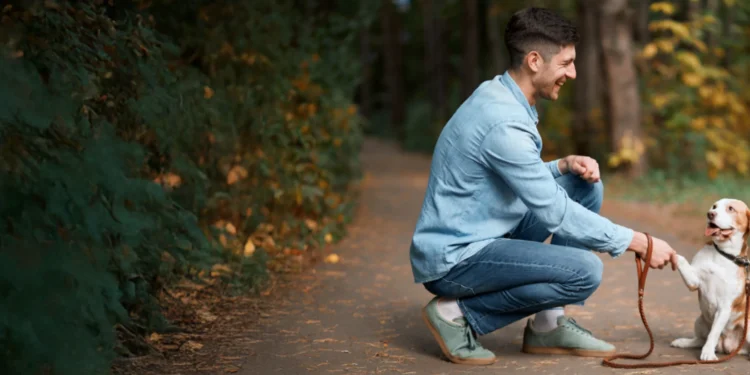 Fox Veterinary Services