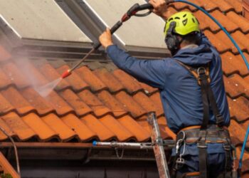 Why Roof Cleaning Helps Prevent Moss Growth and Moisture Retention