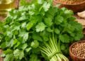 Koriandri Benefits: Why This Tiny Plant Makes a Big Difference