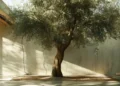 General Audience: Key Considerations When Choosing an Artificial Olive Tree