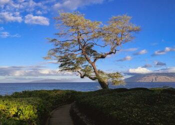 Budgeting Tips for Living in High-Demand Locations