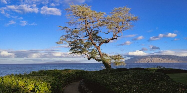 Budgeting Tips for Living in High-Demand Locations