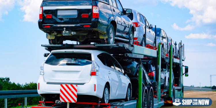 Vehicle Transport