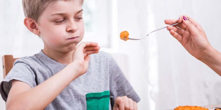 What to Do When Your Toddler Refuses to Eat Anything