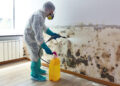 Mold Removal