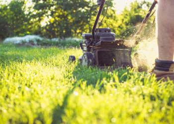 awn Mowing in Fredericton