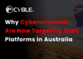 Cybercriminals