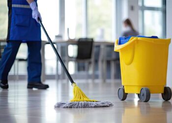 Professional Cleaning
