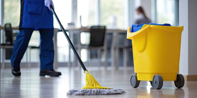 Professional Cleaning