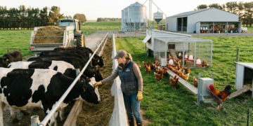 Are Feeding Methods Affecting Livestock Performance Today