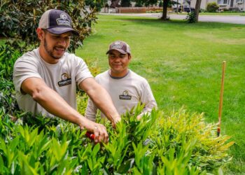 Landscape Maintenance
