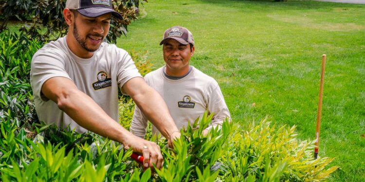 Landscape Maintenance