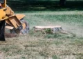 Stump Grinding