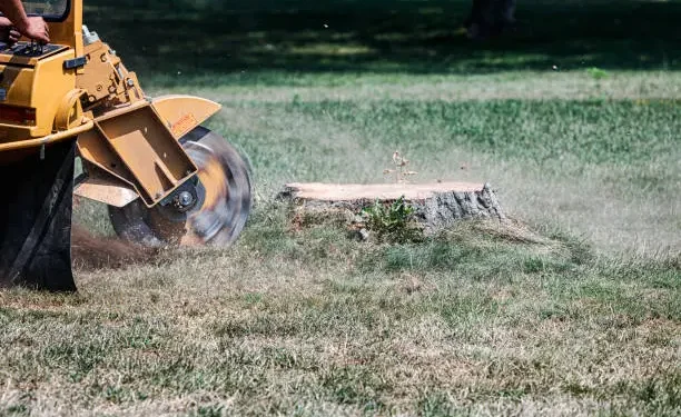 Stump Grinding