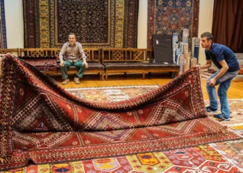 Carpet Installation