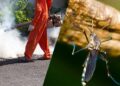 Mosquito Control Solutions: From Environmental Management to Modern Technology