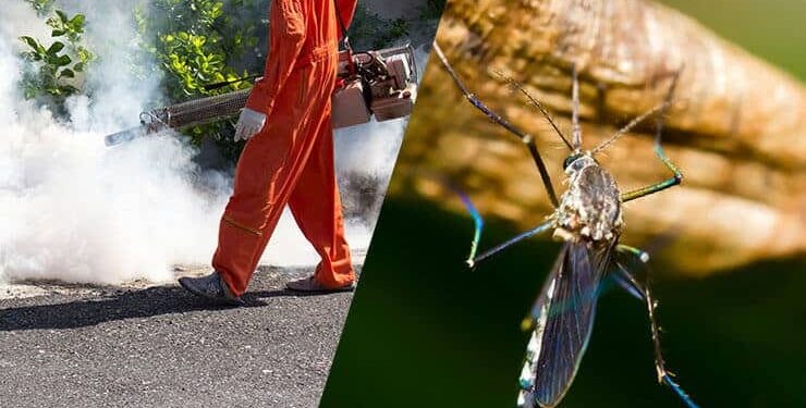 Mosquito Control Solutions: From Environmental Management to Modern Technology