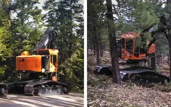 Forestry Mastication