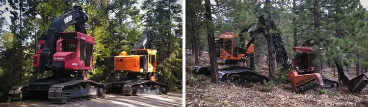 Forestry Mastication