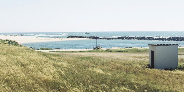 Why Seabound Septic Services Is the Go-To Choice for Homeowners Across North Carolina