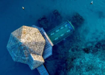 Sleep With the Fishes — Beautifully