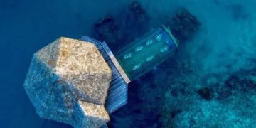 Sleep With the Fishes — Beautifully