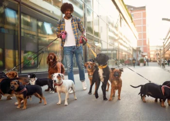 dog walker