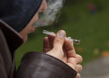 Understanding the Different Types of Vaporizers and How They Work