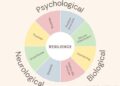How Small Daily Choices Can Strengthen Mental Health and Emotional Resilience
