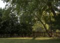 Smart Systems for Cleaner and Greener Outdoor Spaces
