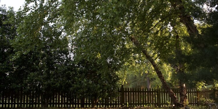 Smart Systems for Cleaner and Greener Outdoor Spaces