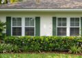 Why Summer Pest Control Matters for West Palm Beach Homes