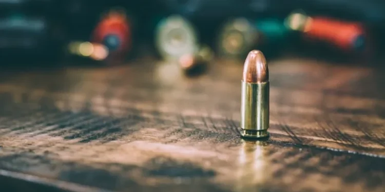 Ventura ammo and the quiet economics of specialty rounds