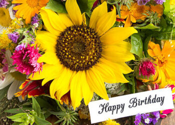 The Best Flowers to Celebrate Birthdays and Anniversaries