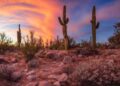 Nothing in Nature Matches Perfectly